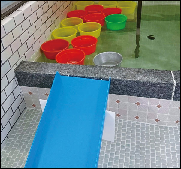 オフロンピック昭和湯