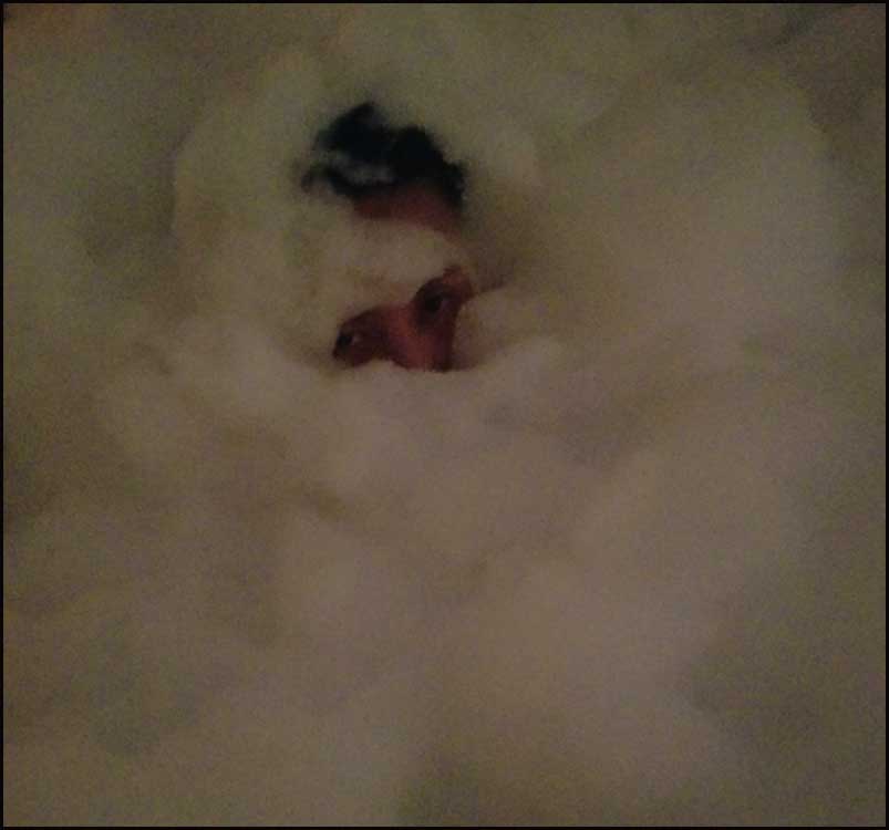 納涼朝日湯～れい温泉 vol.3