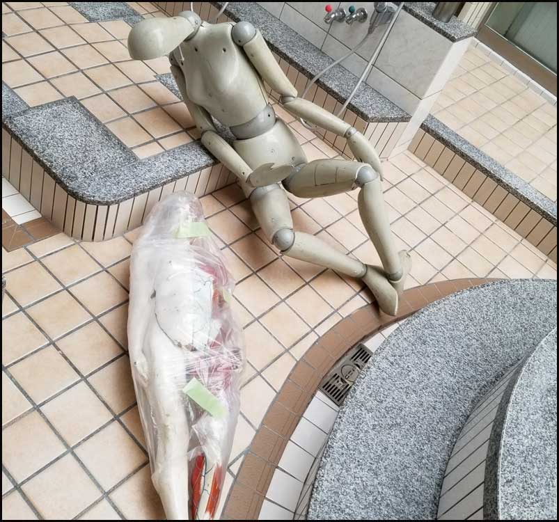 納涼朝日湯～れい温泉 vol.3